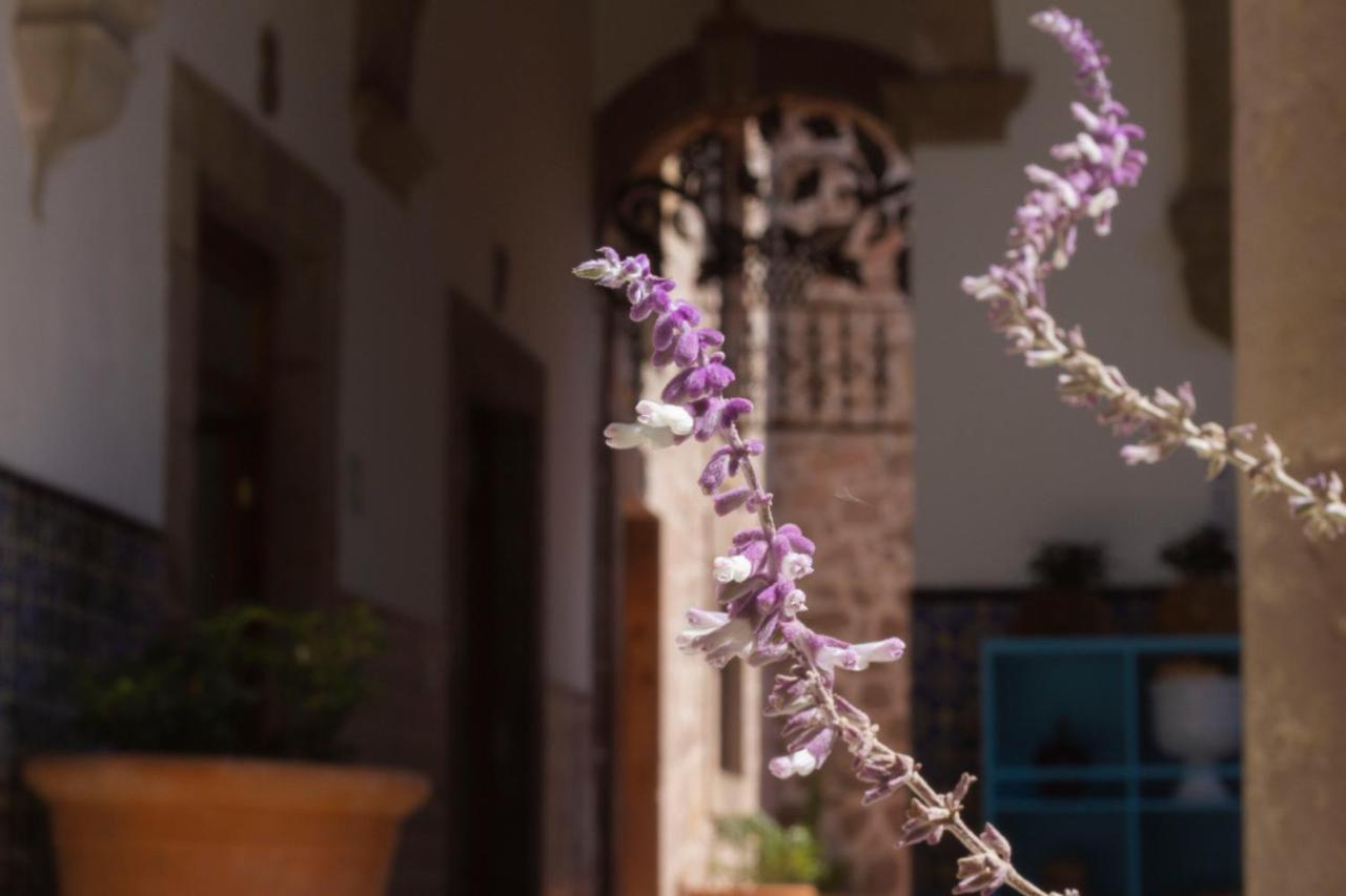 Nana Vida Hotel Morelia Kültér fotó